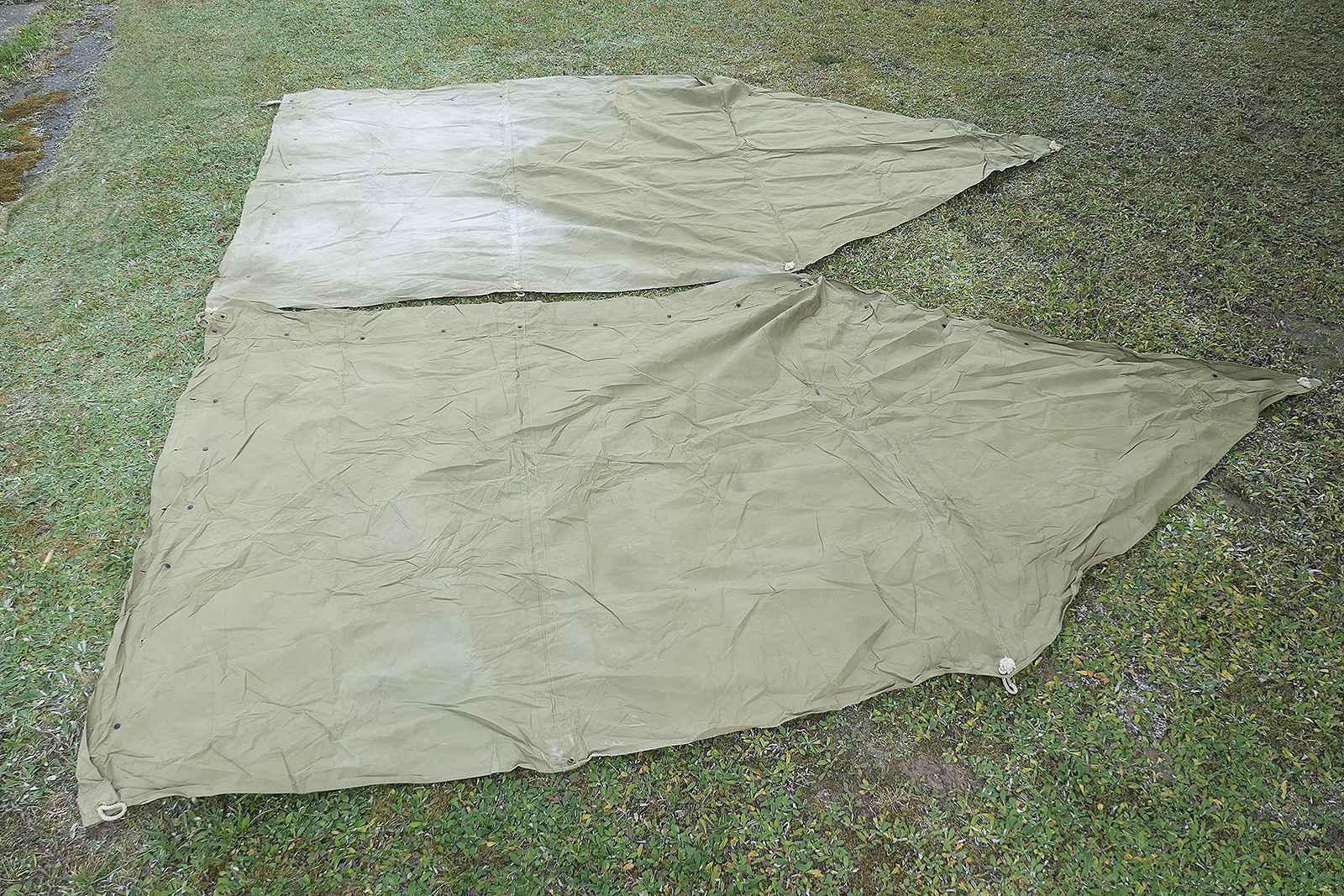 P1540697TEQjBy3hkdkl0