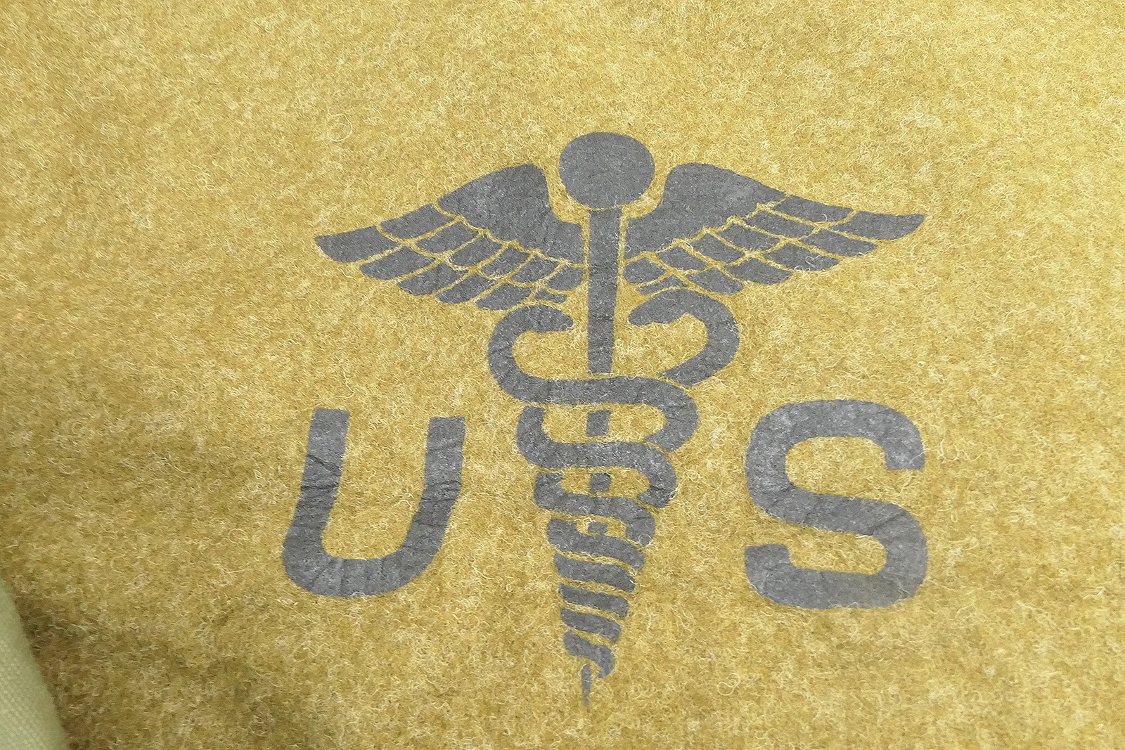 P1490757SwPlFmsgpP0vc