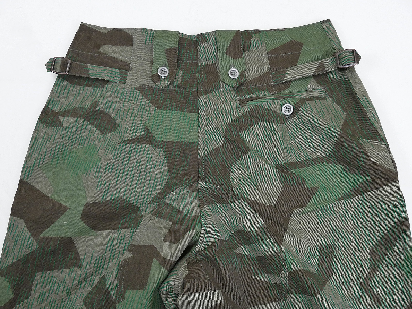 P1390909mVFpy36SNmgSM