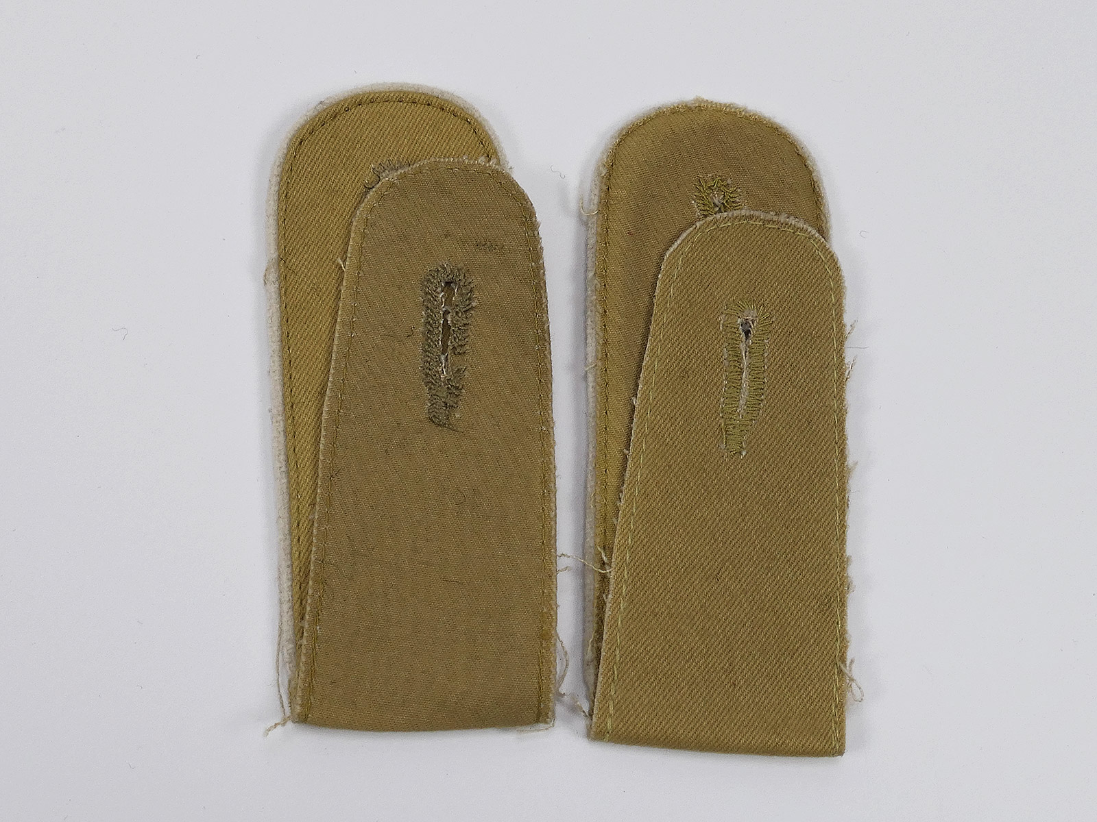 P1589815