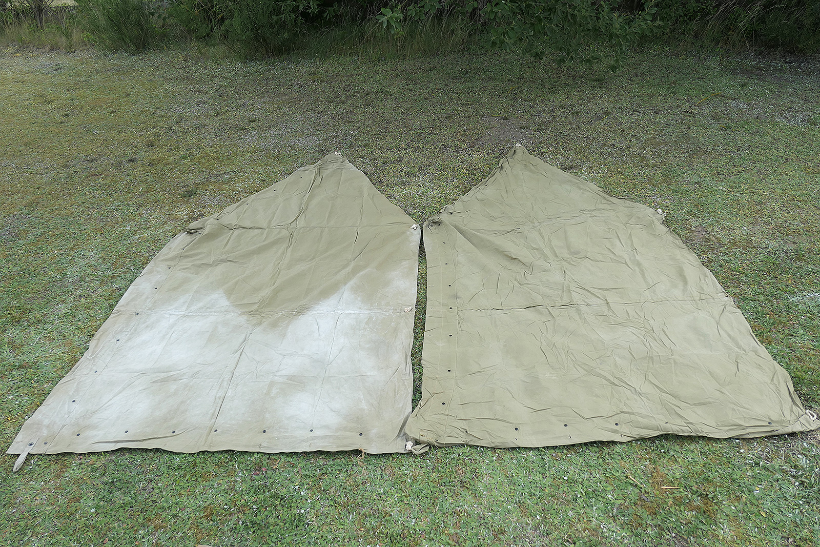 P1540696hdgvsBKQfasSN