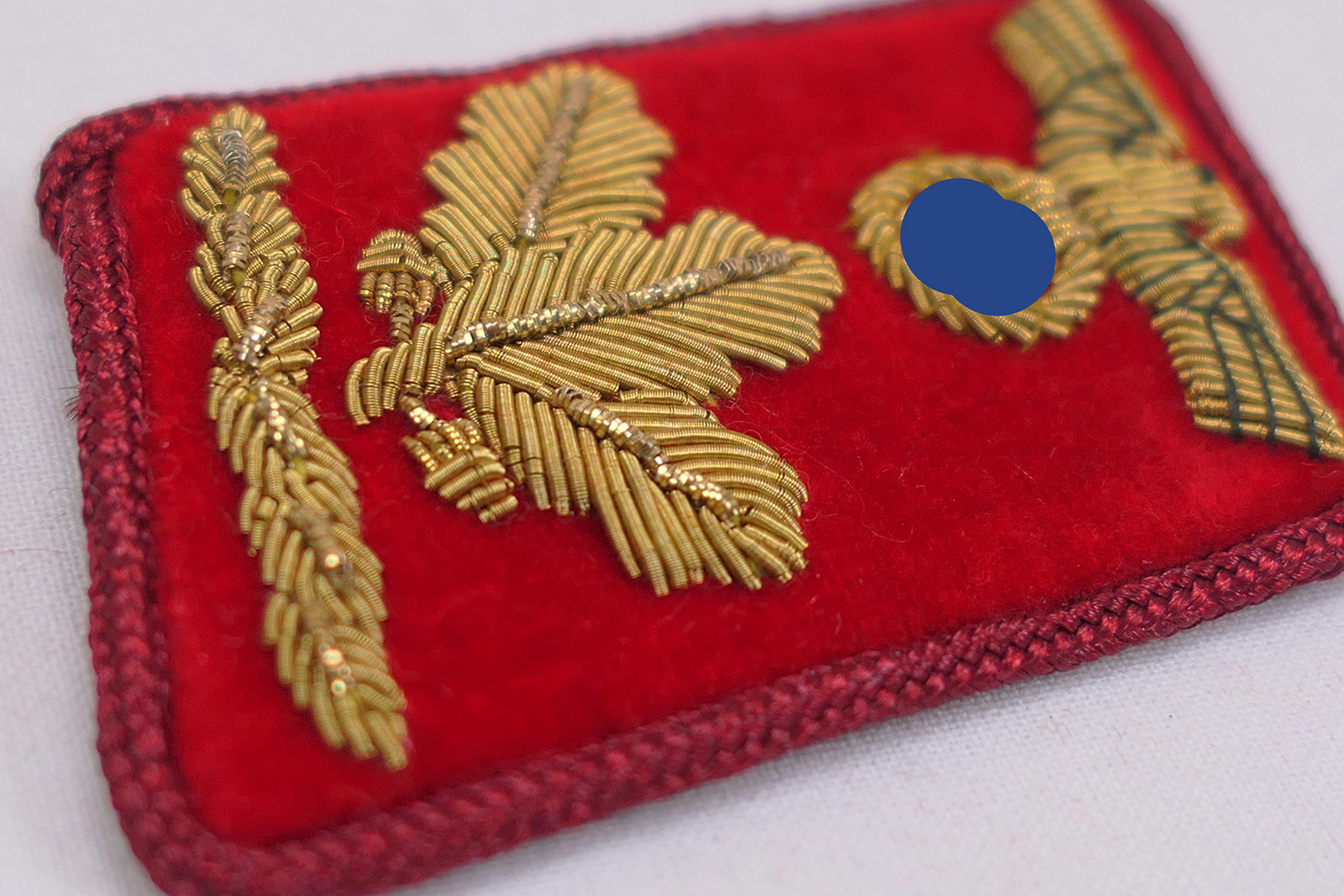 P1260881xwU6ZpPLxgPFR