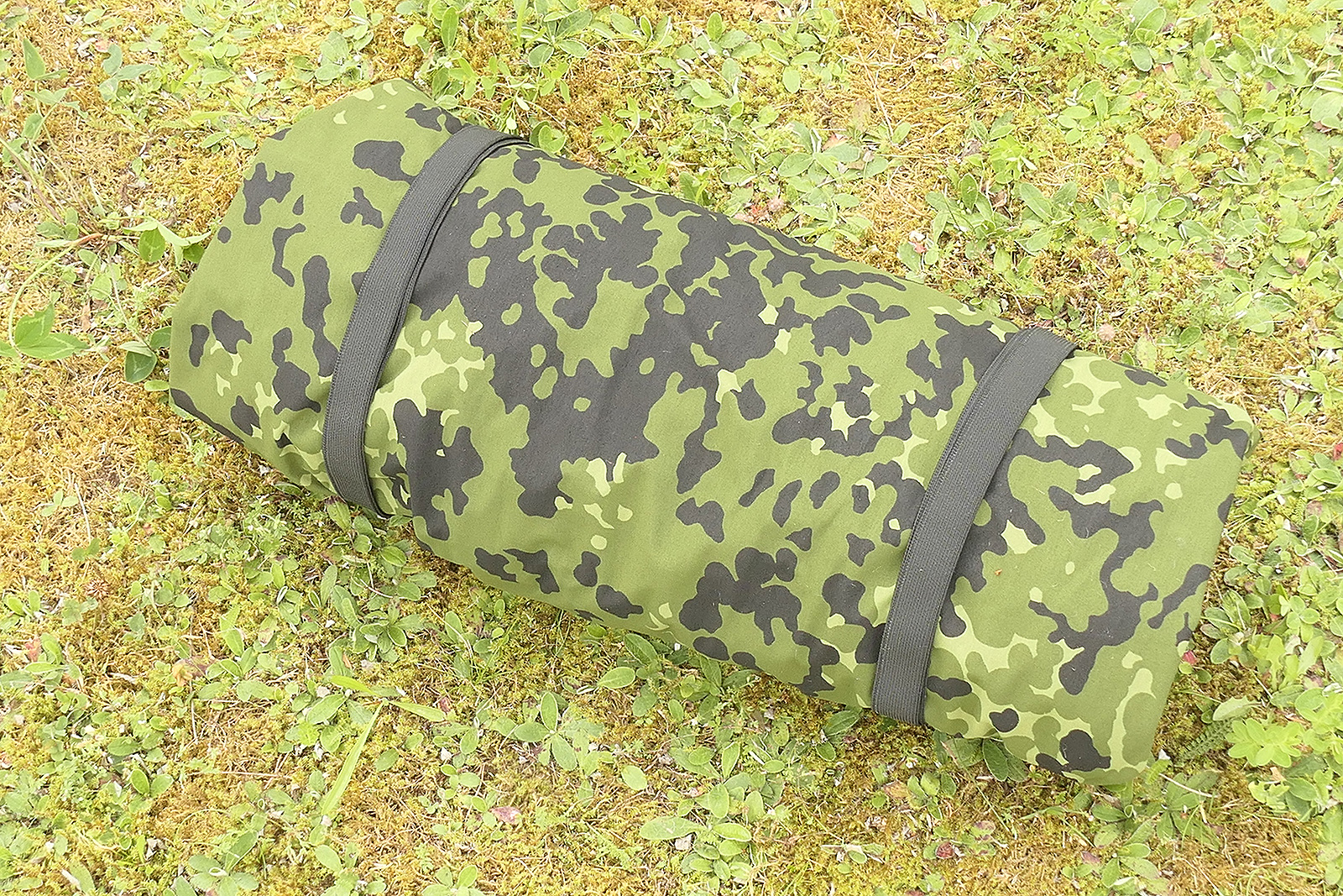 P1550186