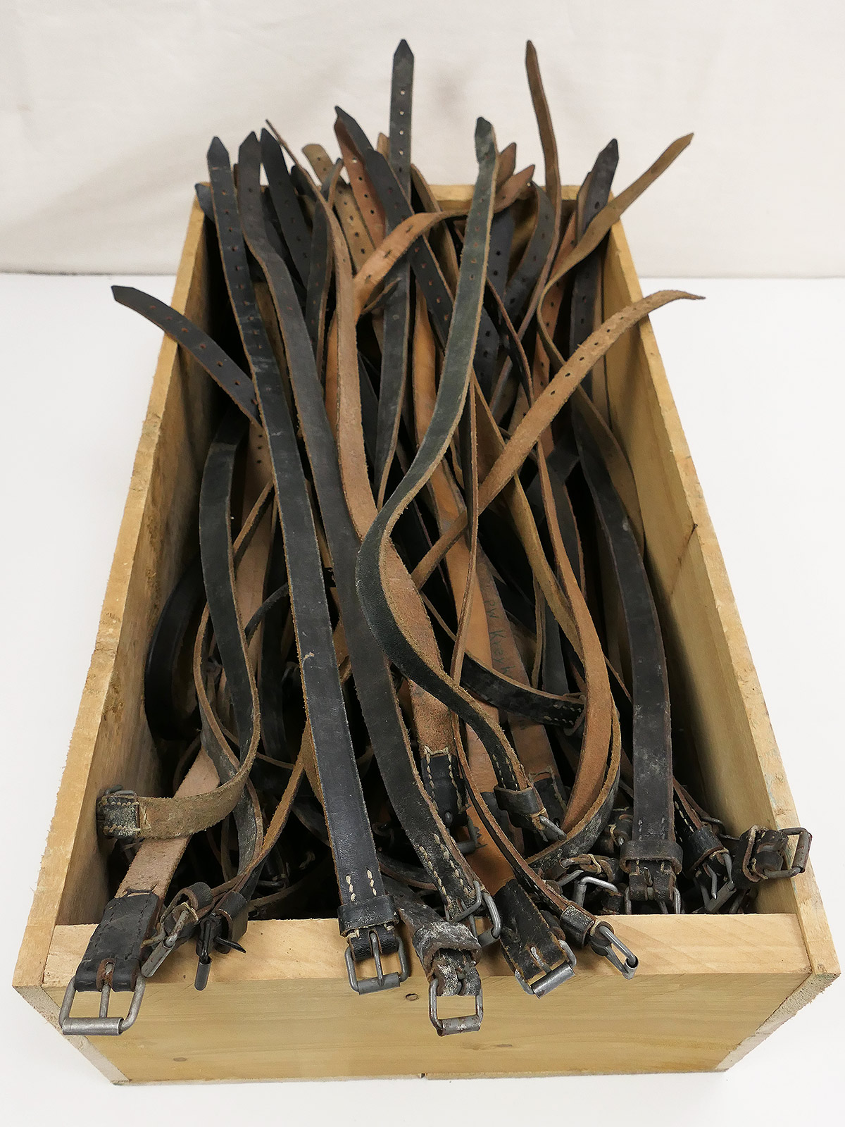 P1681497 1x Stück Wehrmacht Packriemen Lederriemen für Zeltbahn Kochgeschirr Riemen 60cm