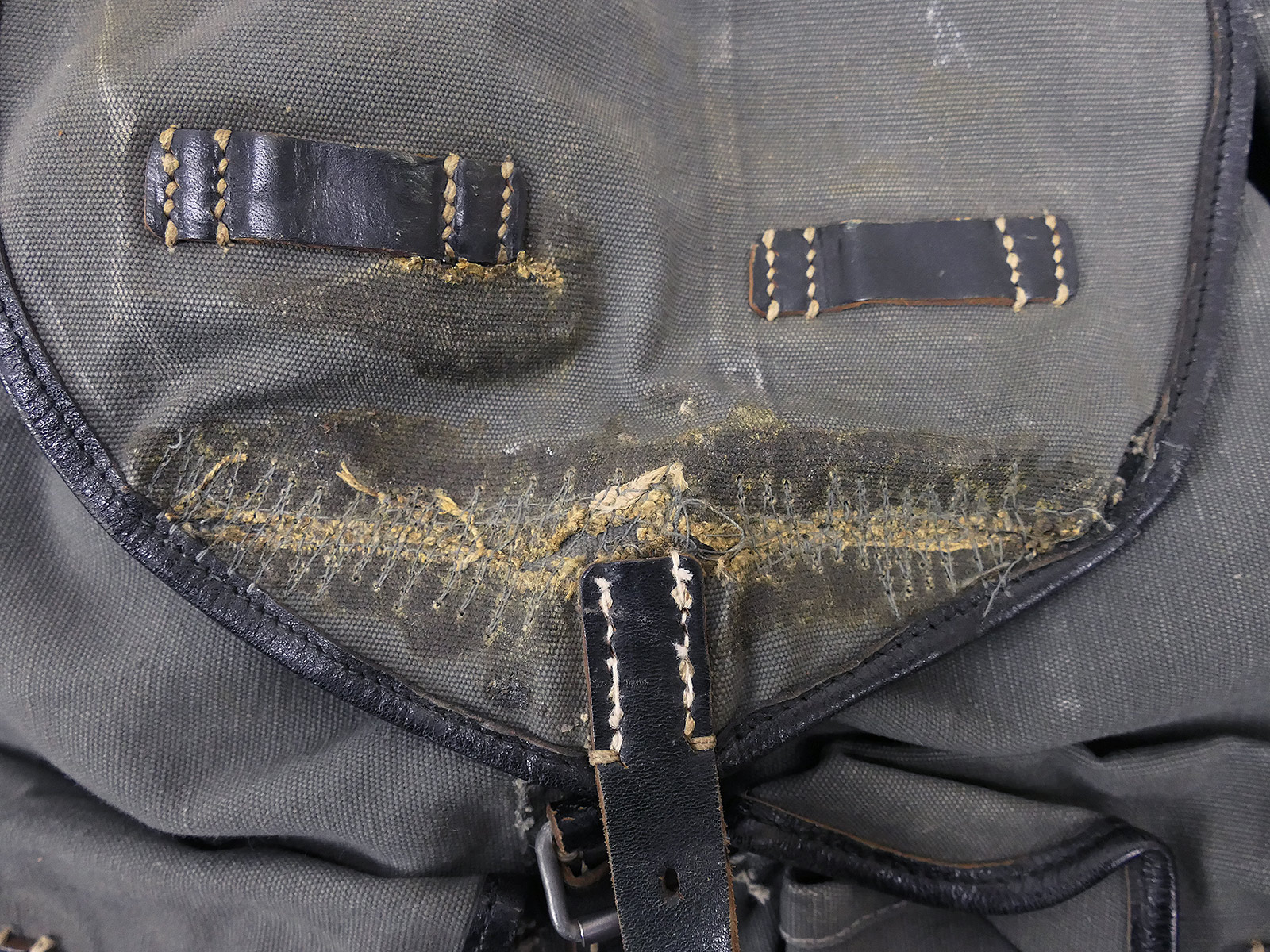 P1090082xTCK7vrZP17i2