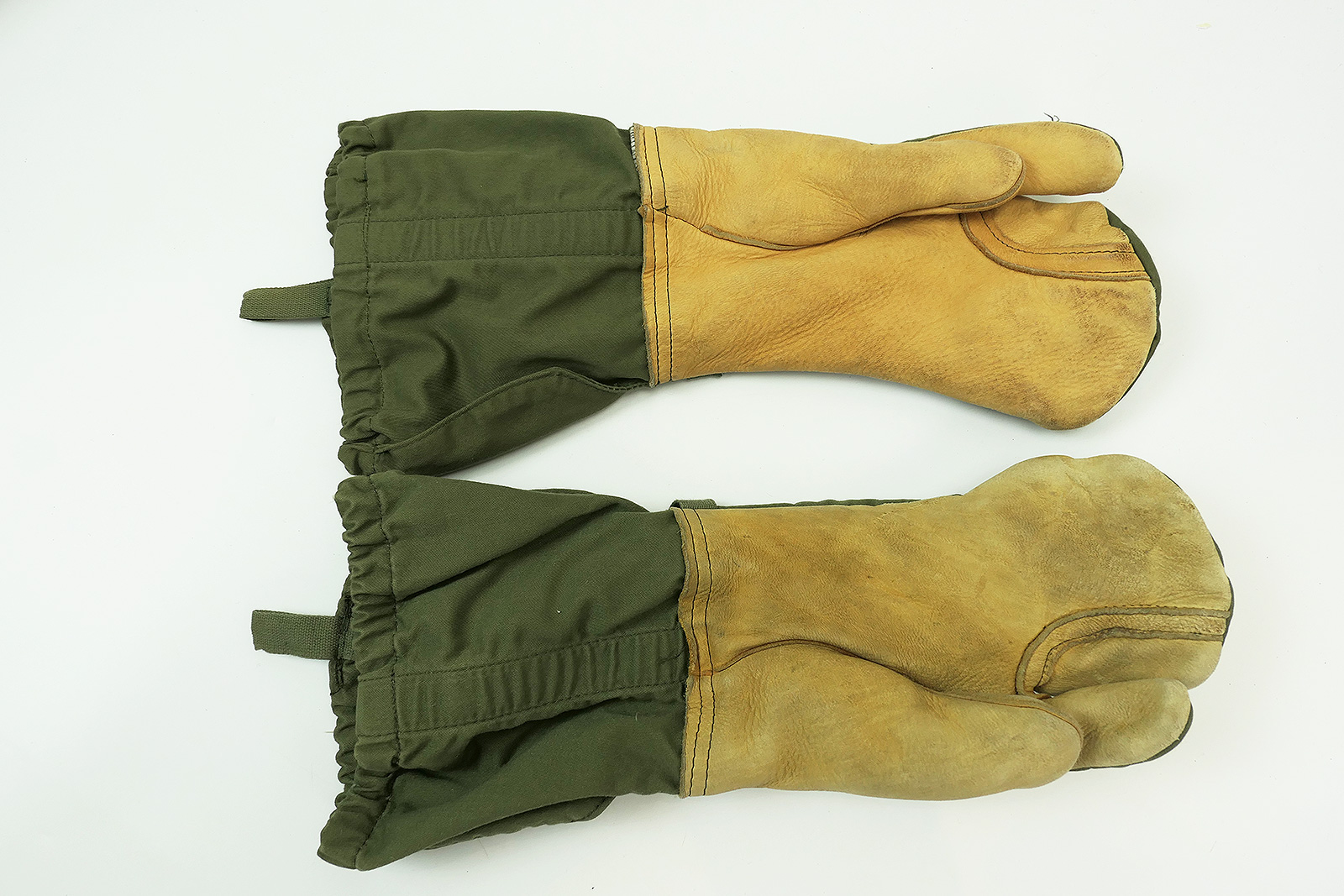 P1290009I02i6z62EvF5x