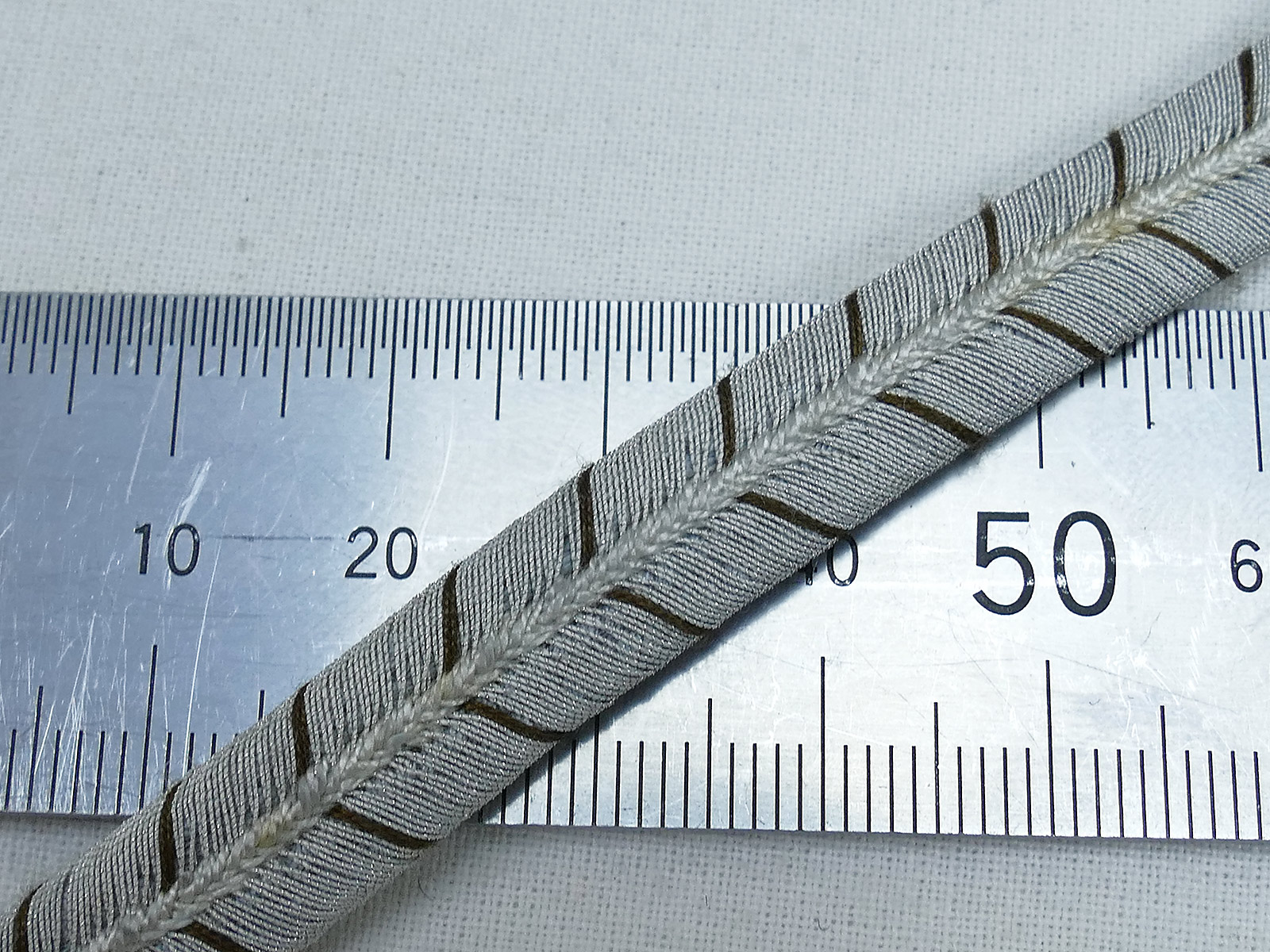 P13606917HBbgNTvnquvD